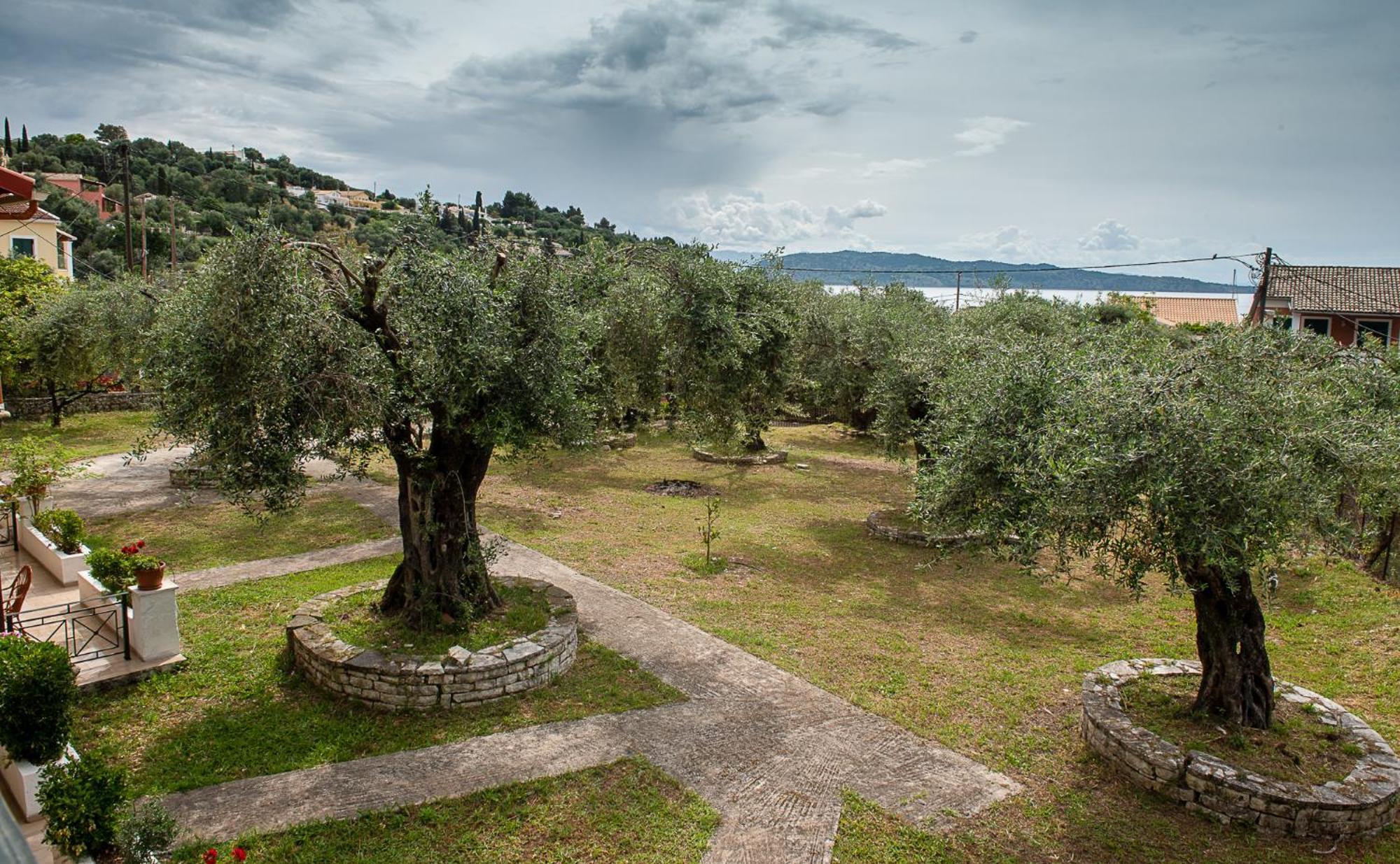 Villa Rita & Helena Kalami (Corfu) Exterior foto
