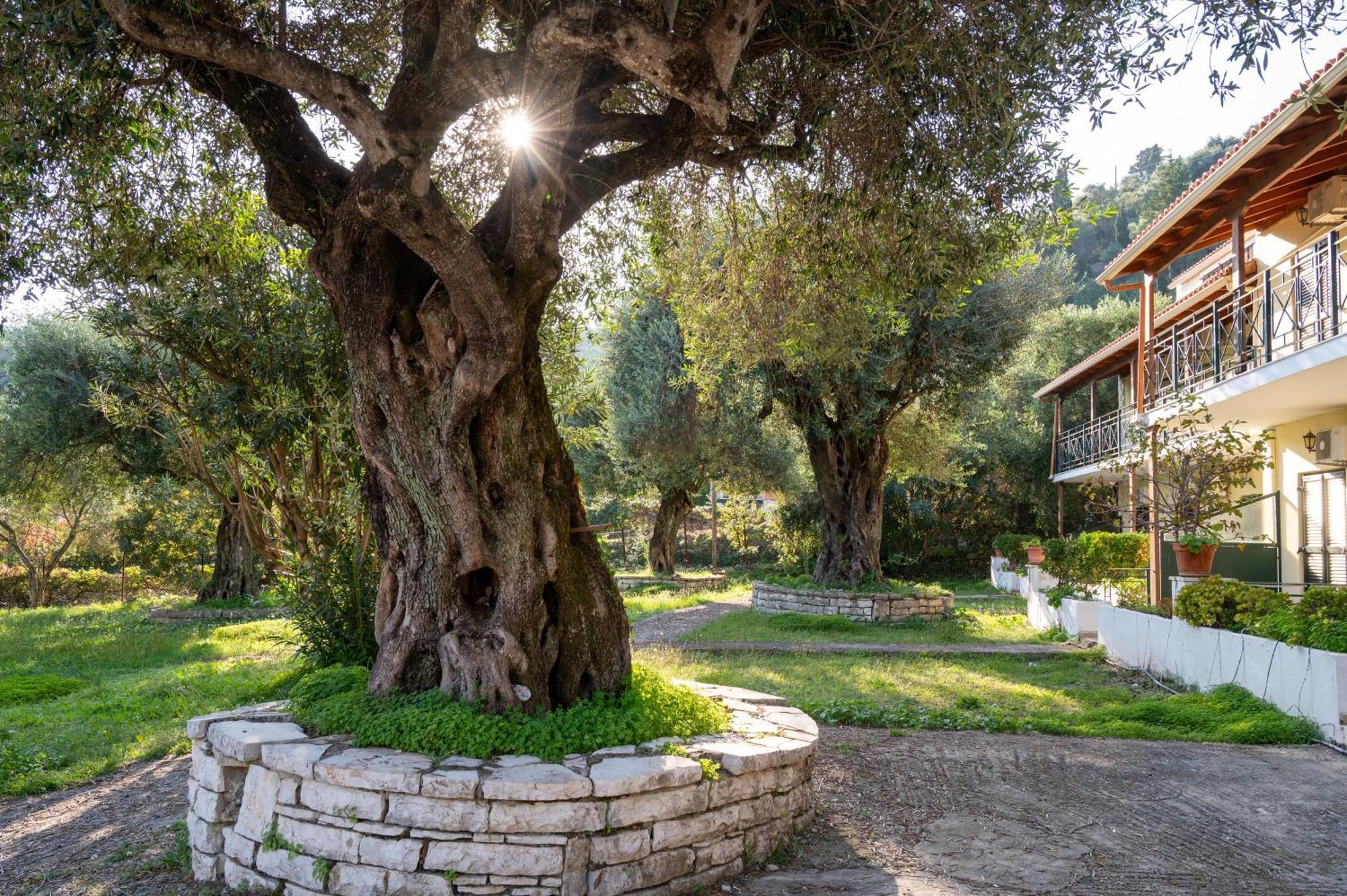 Villa Rita & Helena Kalami (Corfu) Exterior foto