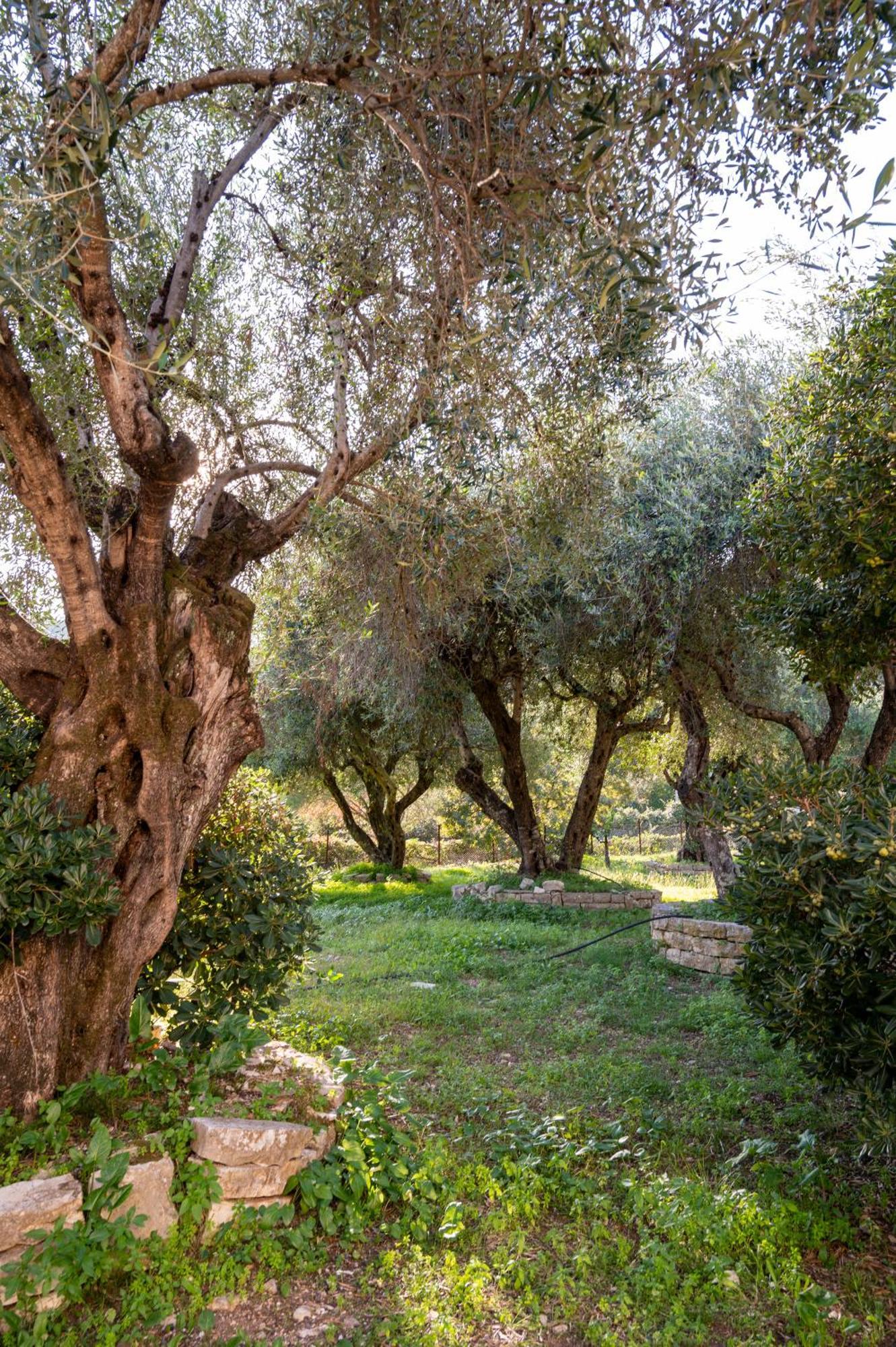 Villa Rita & Helena Kalami (Corfu) Exterior foto