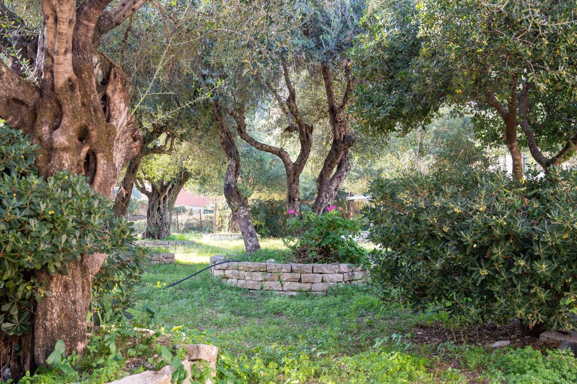 Villa Rita & Helena Kalami (Corfu) Exterior foto